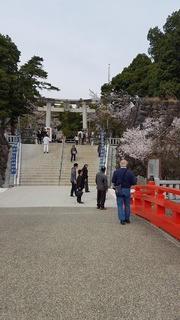 2016.3.31C.jpg